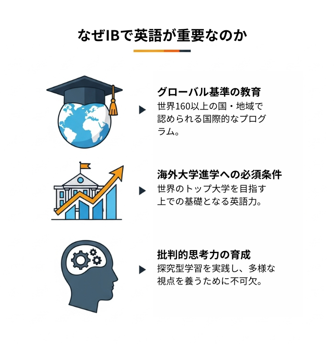 インフォグラフィック：IBで英語が重要な3つの理由。1. グローバル基準の教育（地球儀と卒業帽のアイコン）、2. 海外大学進学への道（大学とグラフのアイコン）、3. 批判的思考力の育成（歯車と人の頭のアイコン）を表現。