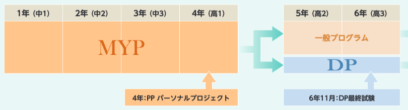 東京学芸大学附属国際中等教育学校の1年生（中学1年生）から6年生（高校3年生）までのコース分け